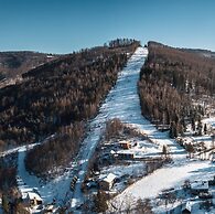 Apartamenty Sun&Snow Siedlisko Palenica