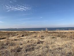 Manor And Mutts #2 3 Bedroom Cottage by RedAwning