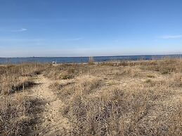 Manor And Mutts #2 3 Bedroom Cottage by RedAwning