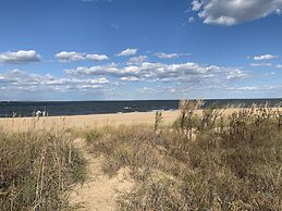 Manor And Mutts #2 3 Bedroom Cottage by RedAwning