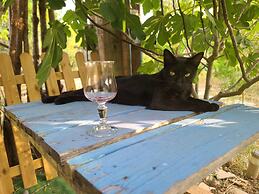 Bel Hôtel Restaurant La Gentilhommiere