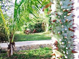 Hotel Casa Maya Calakmul