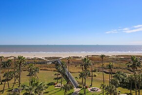 Galvestonian 409 - Pelican Pathway