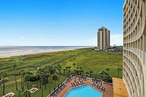 Galvestonian 409 - Pelican Pathway