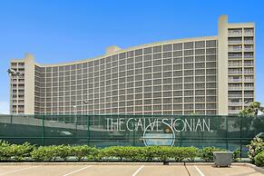 Galvestonian 409 - Pelican Pathway