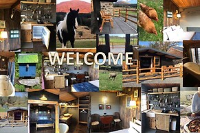 Luxury Cabin in the Magical Galloway Forest Park