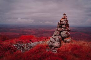 Luxury Cabin in the Magical Galloway Forest Park