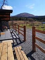 Luxury Cabin in the Magical Galloway Forest Park