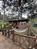 Glamping Büyükada