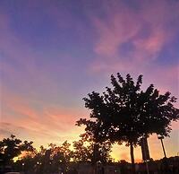 Altstadthotel Alt & Jung