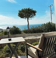 The Rest Port Argento