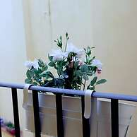 Santa Reparata in Firenze