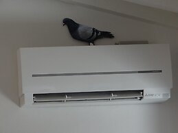 Matteotti Apartment in Firenze