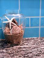 Villa Mica in La Maddalena