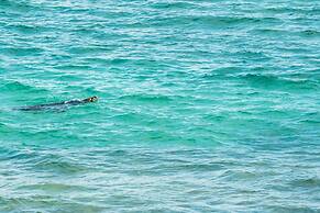 Papakea A403 3 Bedroom Condo by RedAwning