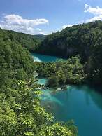 Guesthouse Family Bosnic