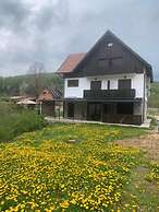 Guesthouse Family Bosnic