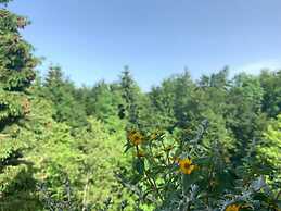 Guesthouse Family Bosnic