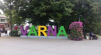 Brand New Apartment With Pool, gym and Playground