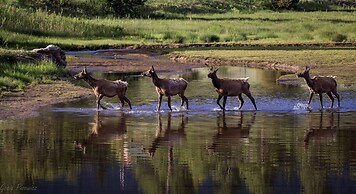 Pine Brook - 30 Nights Minimum Rental Only 4 Bedroom Cabin by RedAwnin