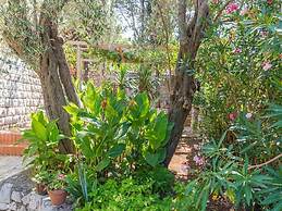 Summer House Silvija