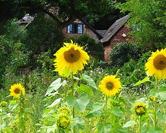 Saint Pancras Chapel