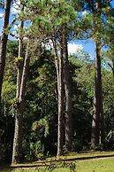 Amadamata Refúgio Ecológico