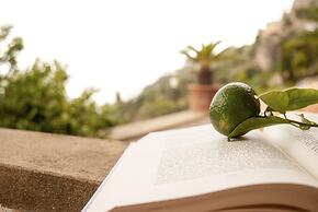 Villa Amalfi in Amalfi