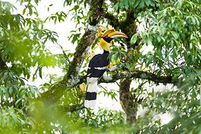 Intercontinental Khao Yai Resort by IHG