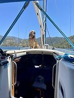 Marimare Beach & Bungalow Hotel