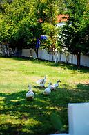 Marimare Beach & Bungalow Hotel