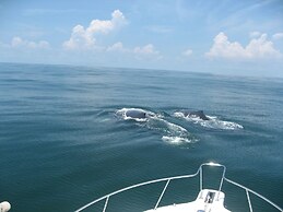 Casa del Golfo El Salvador