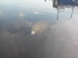 The Keys Bungalow On The Cotee River