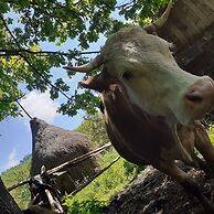 Room in Guest Room - Sejour Retreat For Family In Paradise