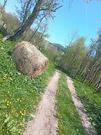 Room in Guest Room - Sejour Retreat For Family In Paradise