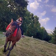 Room in Guest Room - Sejour Retreat For Family In Paradise