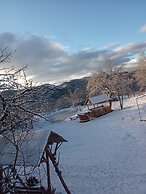 Room in Guest Room - Sejour Retreat For Family In Paradise