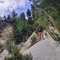 Room in Guest Room - Sejour Retreat For Family In Paradise