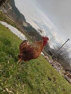 Room in Guest Room - Sejour Retreat For Family In Paradise