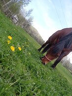 Room in Guest Room - Sejour Retreat For Family In Paradise
