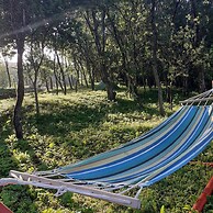 Room in Guest Room - Sejour Retreat For Family In Paradise