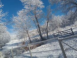 Room in Guest Room - Sejour Retreat For Family In Paradise