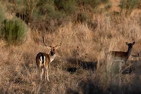 Herdade dos Abegões