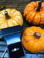 A Beautiful, Unique Lodge, Made for two