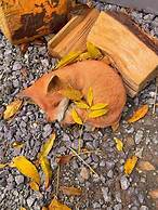 A Beautiful, Unique Lodge, Made for two