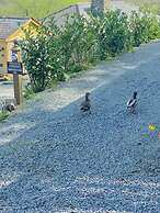 A Beautiful, Unique Lodge, Made for two