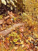 A Beautiful, Unique Lodge, Made for two