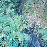 A Beautiful, Unique Lodge, Made for two