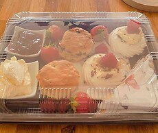 A Beautiful, Unique Lodge, Made for two