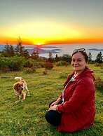 Badara Kafe & Pansiyon